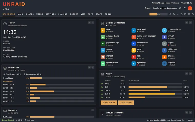 Unraid dashboard with the Amberloom theme