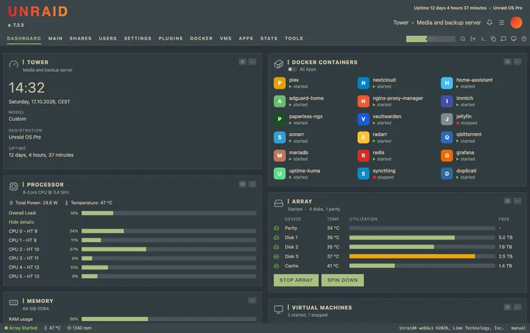 Unraid dashboard with the Everforest theme